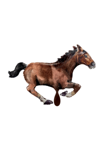 Pferd Folienballon 100cm
